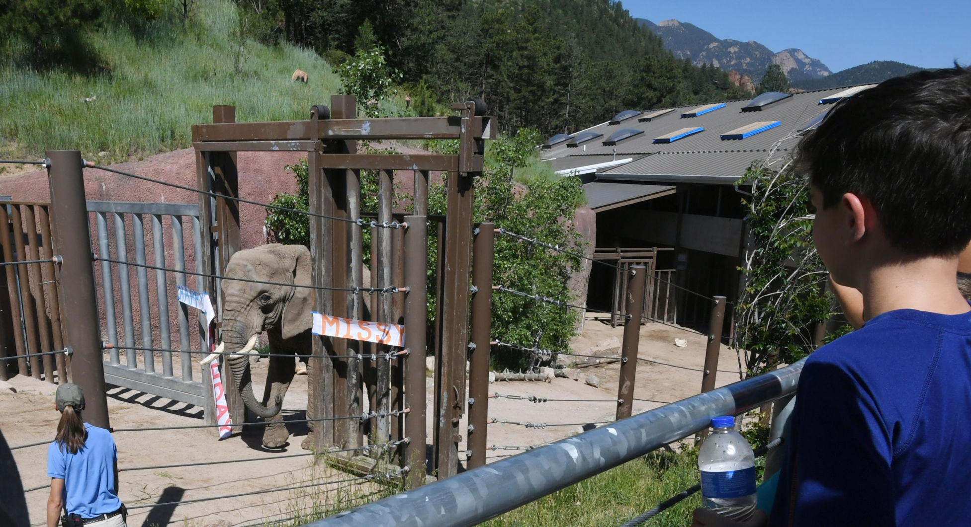 070119-news-elephant 02.JPG